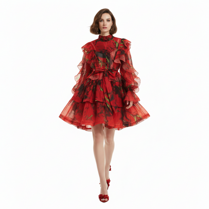 Roseate Long Sleeve Volume Mini Dress