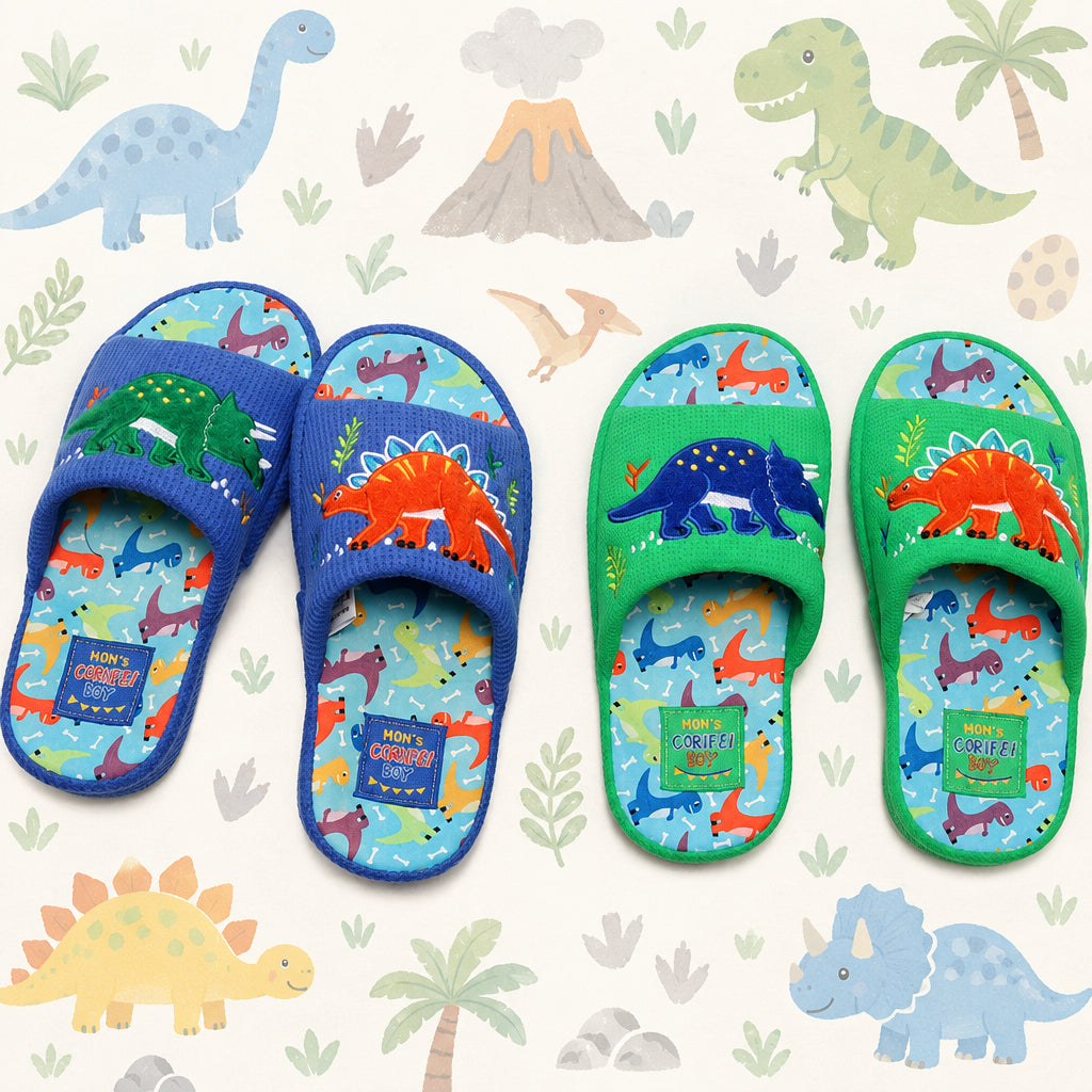 Boy's Prehistoric Pals Indoor Slippers
