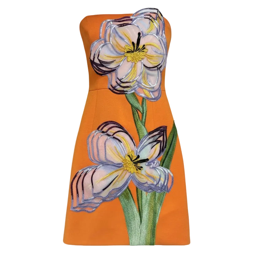 Iris Mini Bandeau Dress