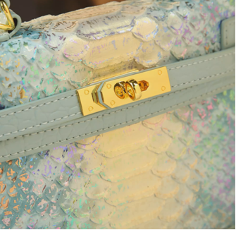 Chic Mini Handbag