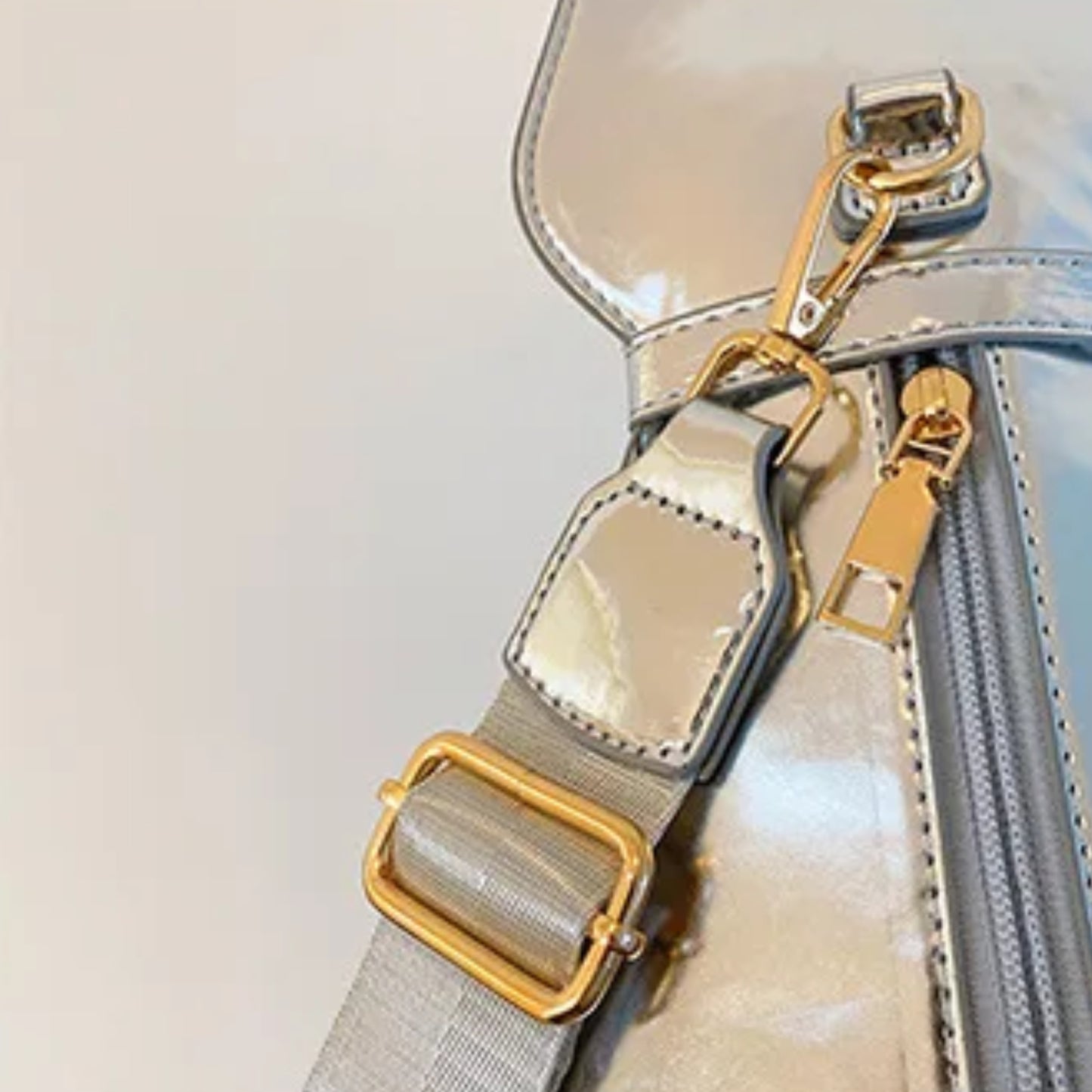 Metallic Whiskers Crossbody Bag