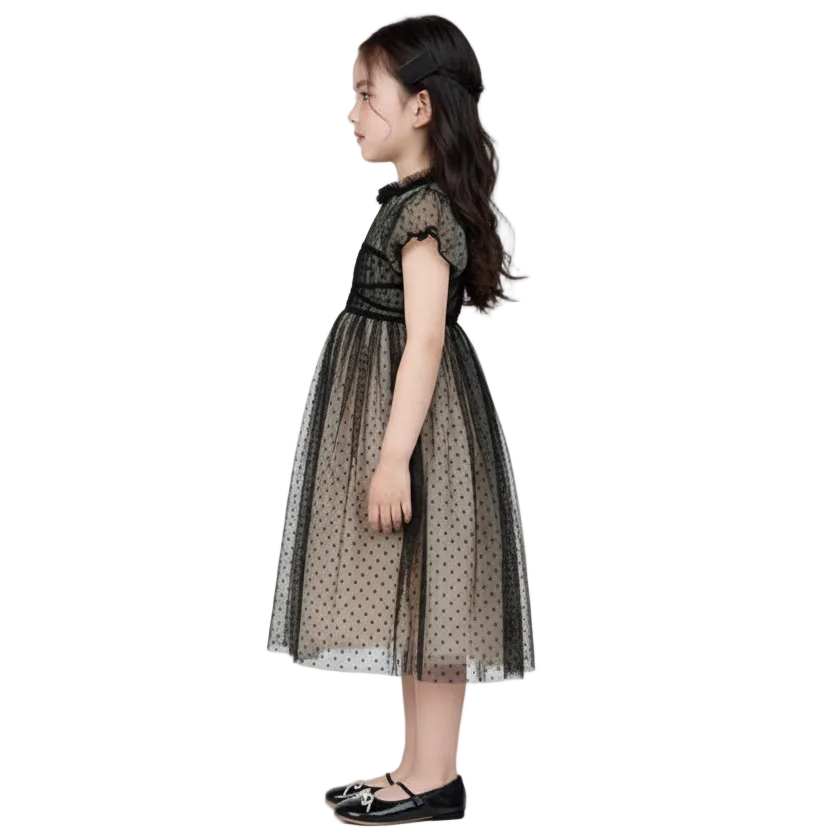 Dashie Temperament Dress