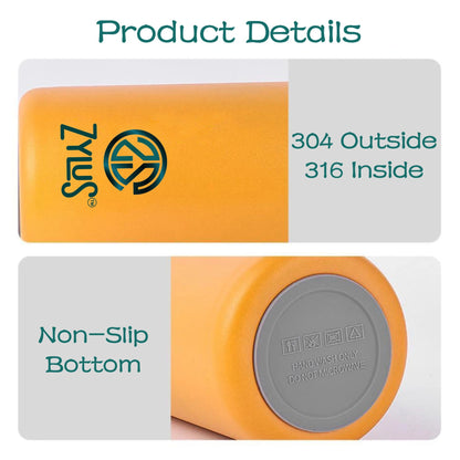 Cute Lunch Box and 550ml Water Bottle Set