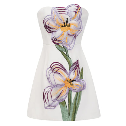 Iris Mini Bandeau Dress