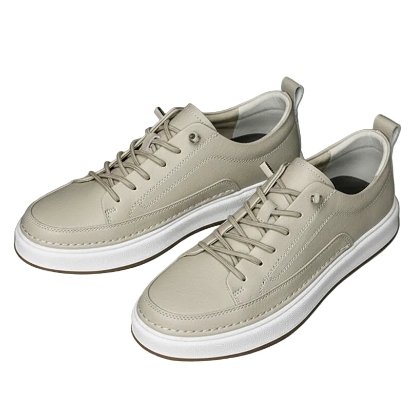 Men's Swish Casual Shoes (Brown)