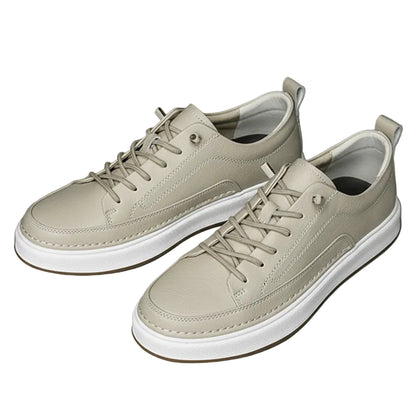 Men's Swish Casual Shoes (Brown)