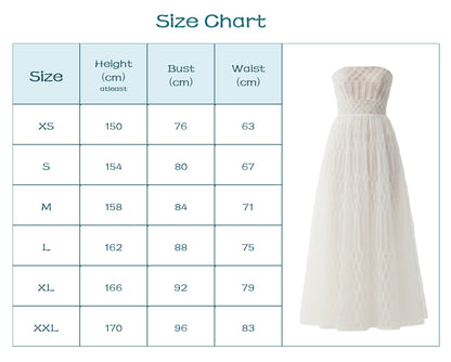 Geo Lace Embroidered Bandeau Maxi Dress.